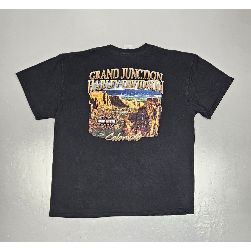 Harley Davidson T-Shirt Mens XL Black Y2K‎ Grand Junction Colorado Pin Up Girl